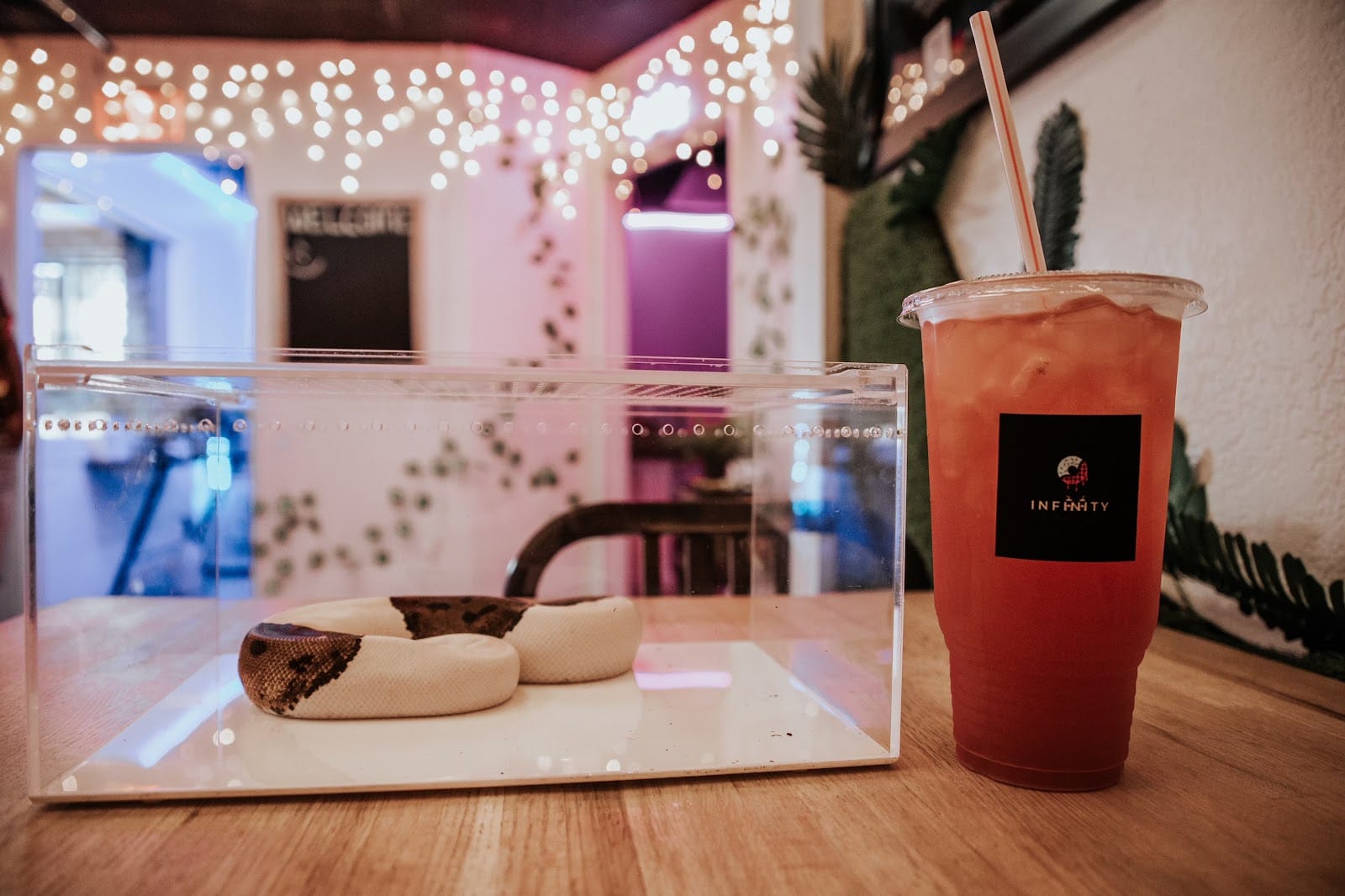 Infinity Shakes Snake Cafe