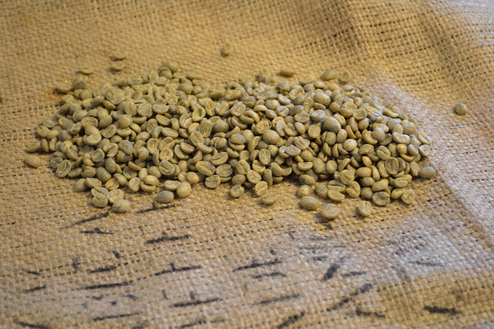 Alchemy Roast photo 3