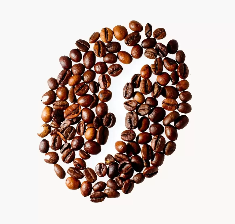 Sanvi Cafe