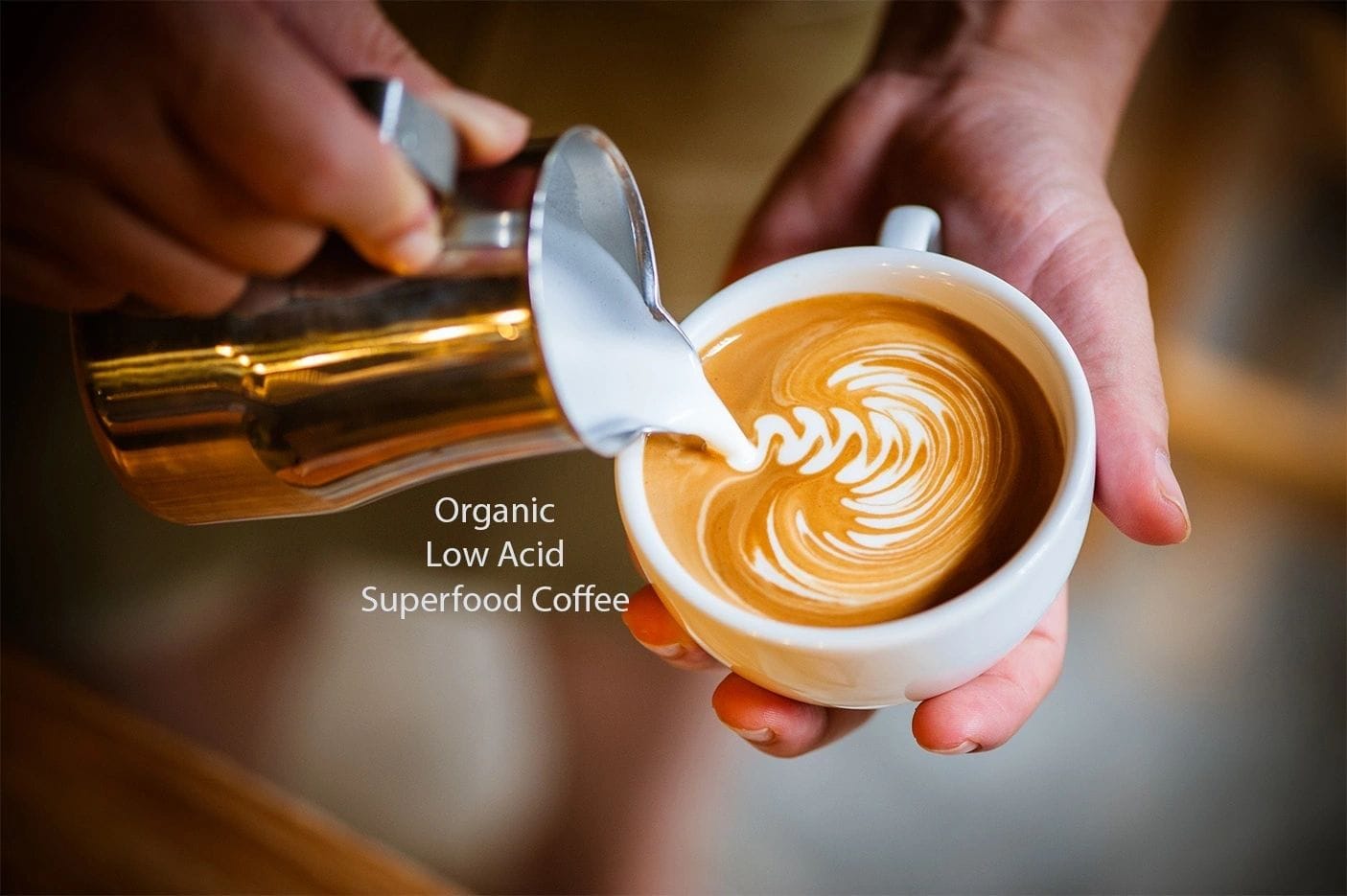 Longevity Coffee photo 2