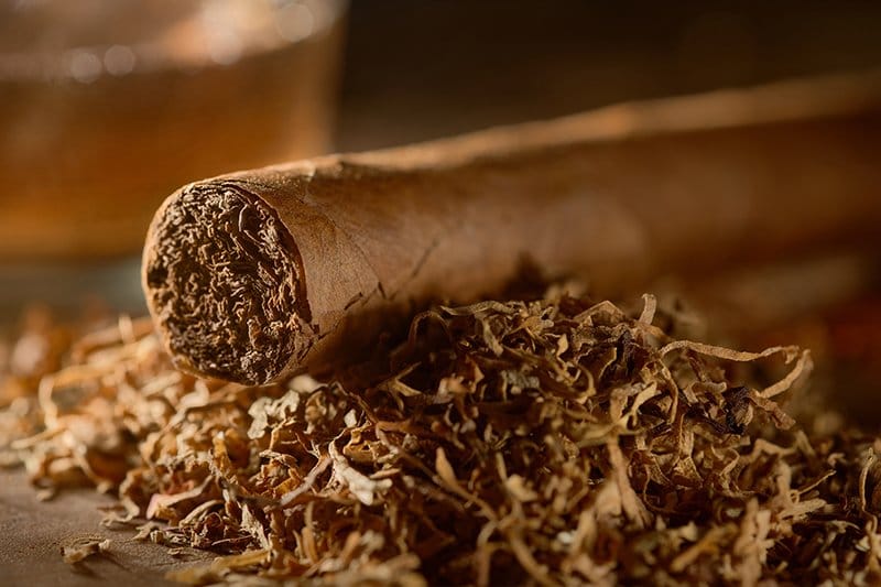 Nooney's Cigar Shop photo 4