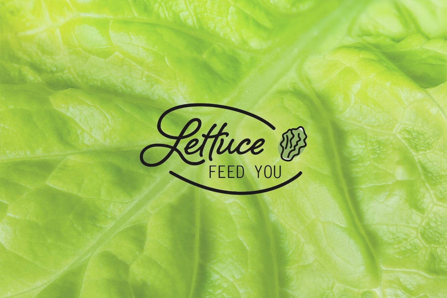 Lettuce Feed You photo 2