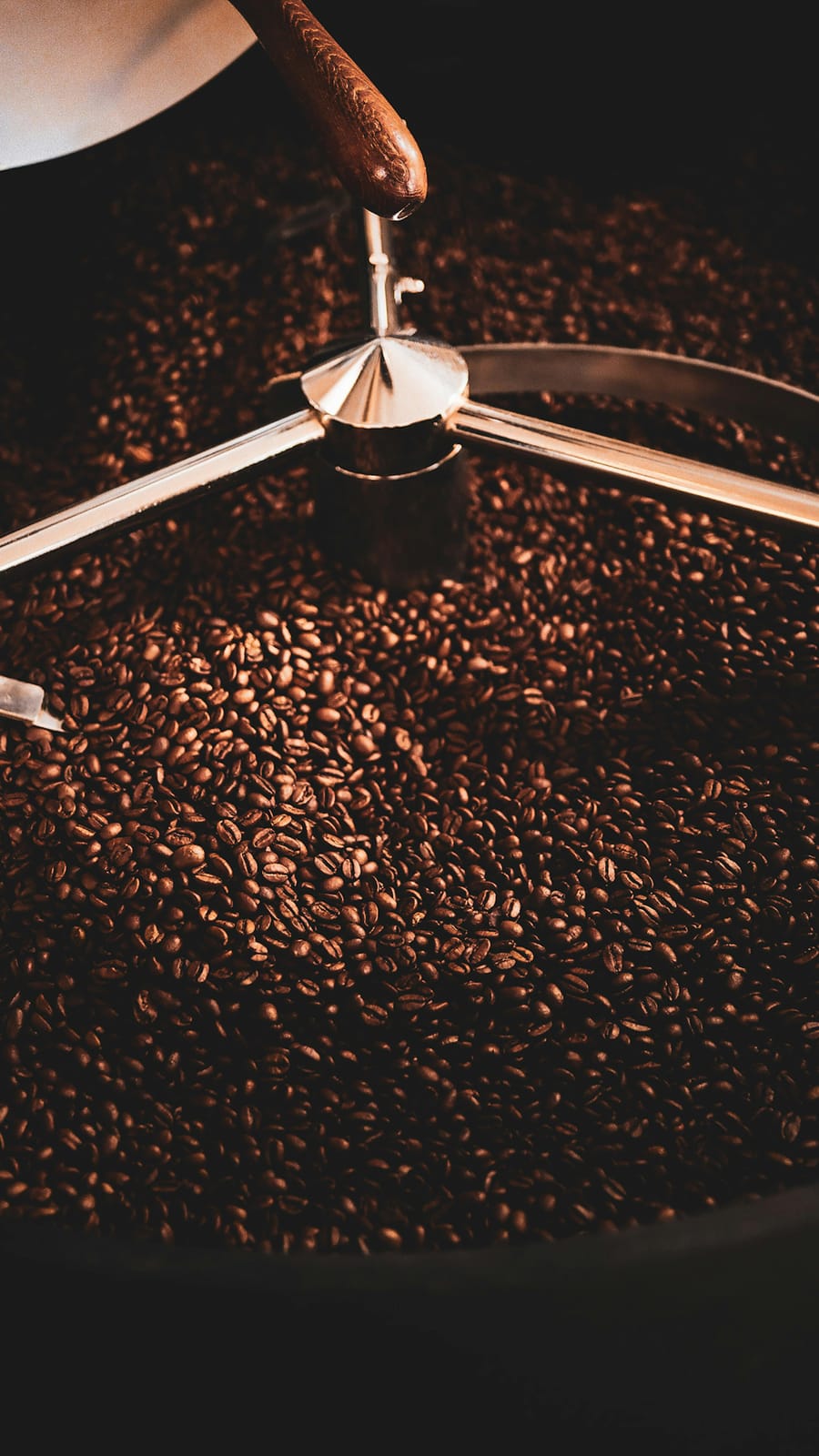 Ahava Coffee Roasters - West Canal photo 8