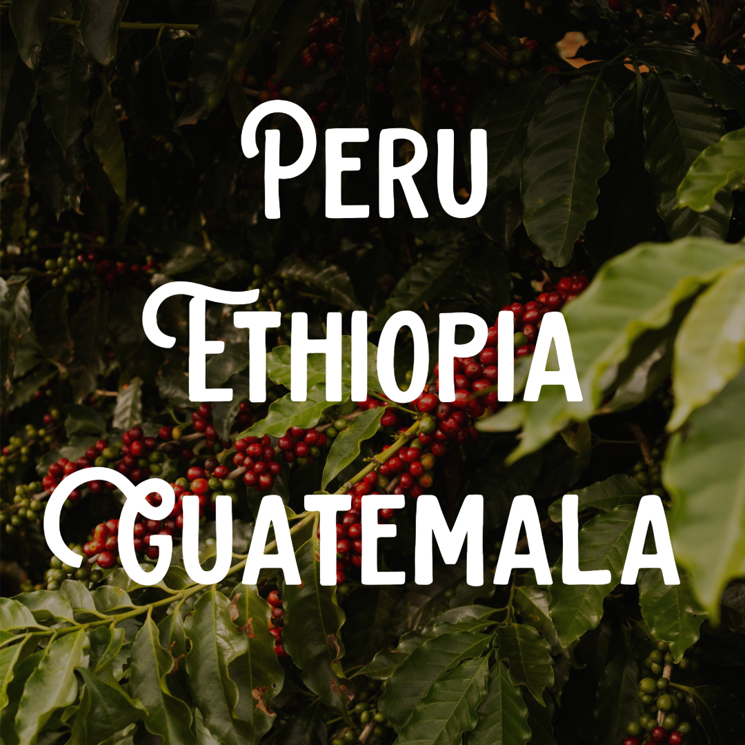 Ahava Coffee Roasters - West Canal photo 7