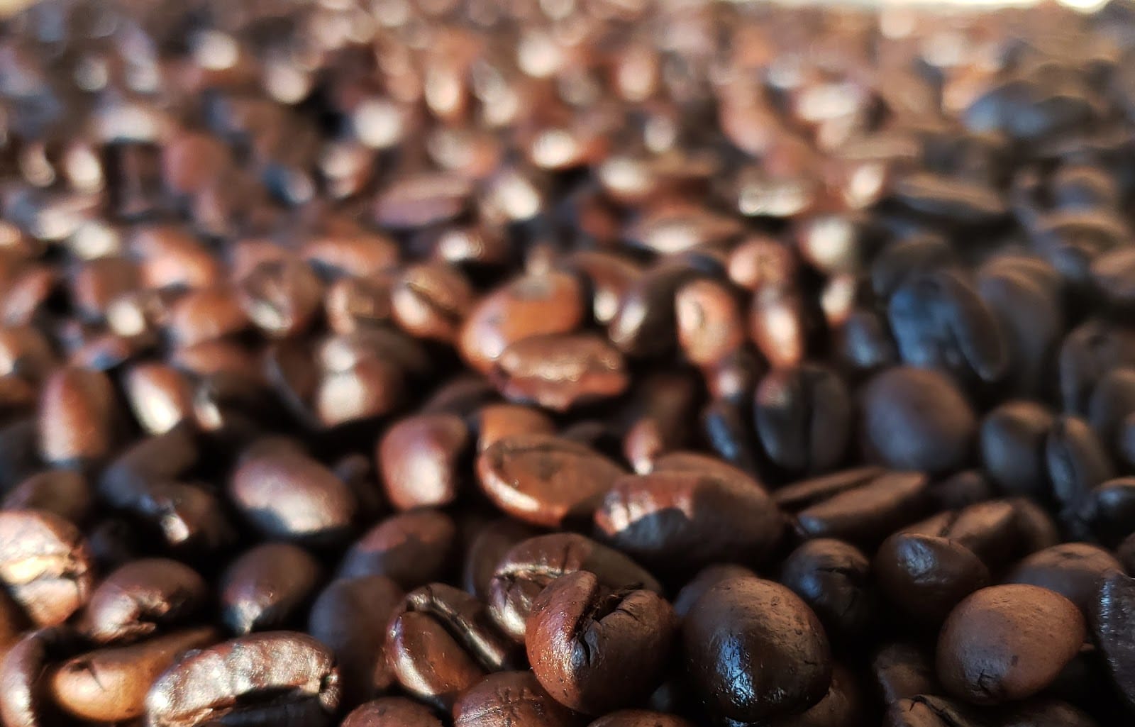 Surreal Coffee Roasters