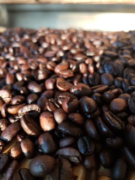 Surreal Coffee Roasters photo 3