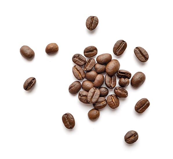 Brady's Coffee photo 2