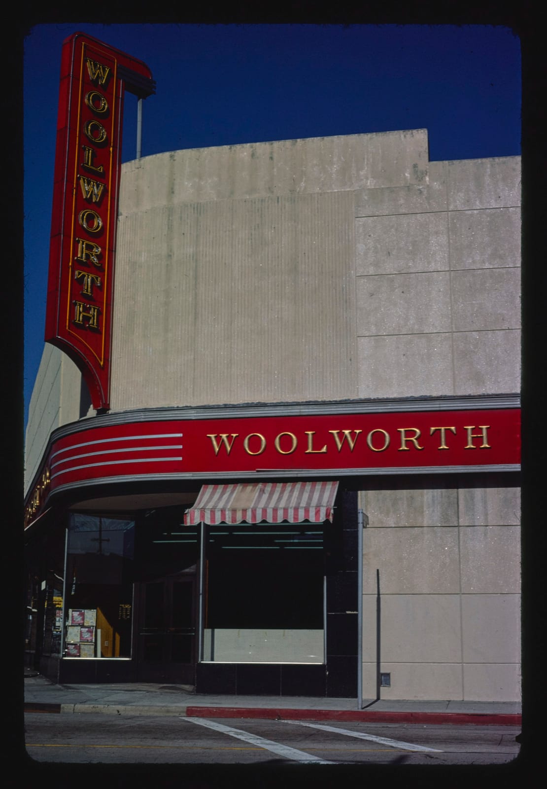 The Moon Café photo 2