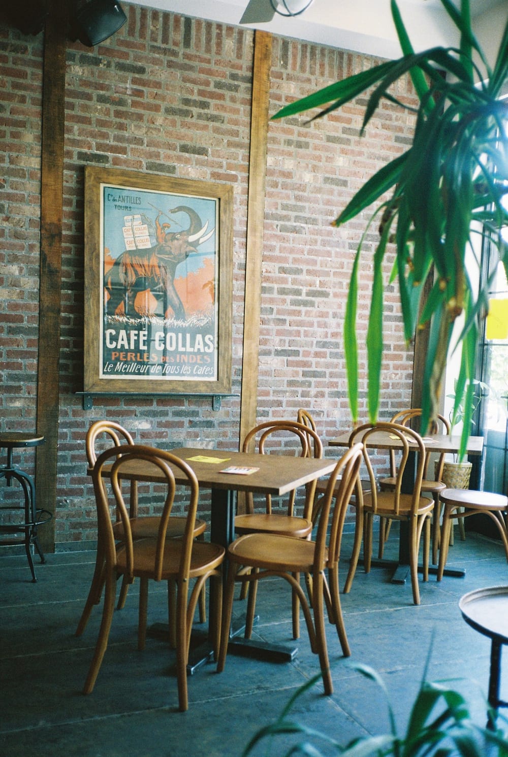 Malpa Cafe photo 2