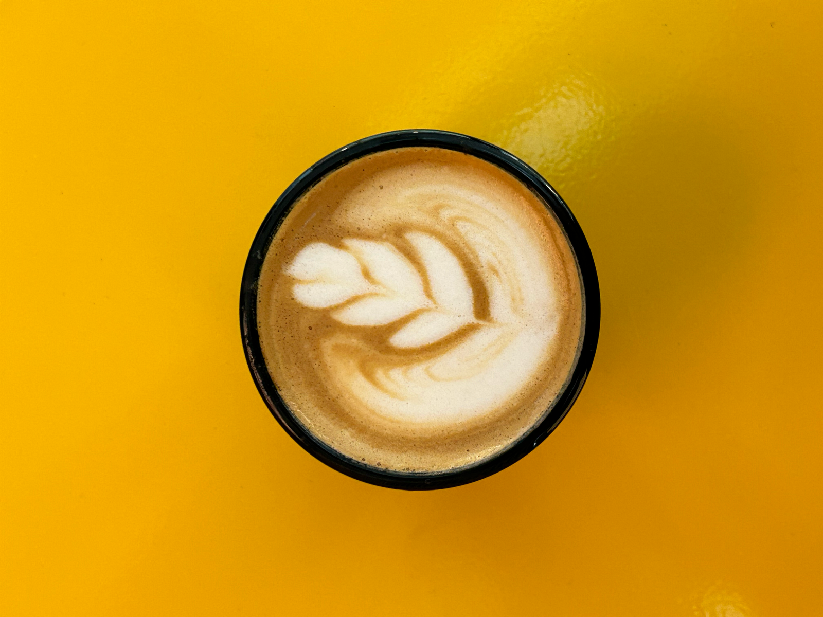 Loro Coffee Vancouver photo 6