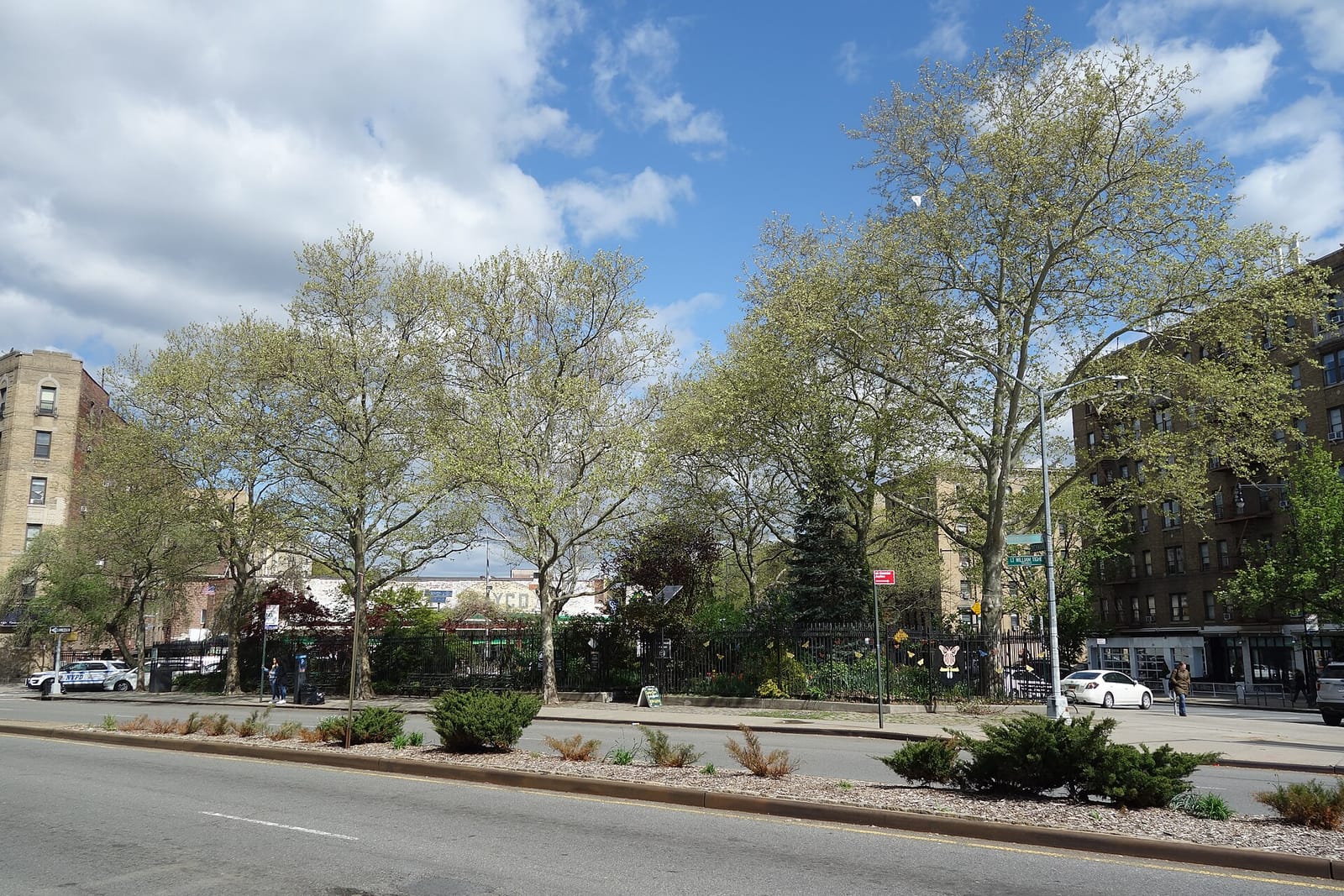 Mon Amour Coffee & Wine Dyckman photo 4