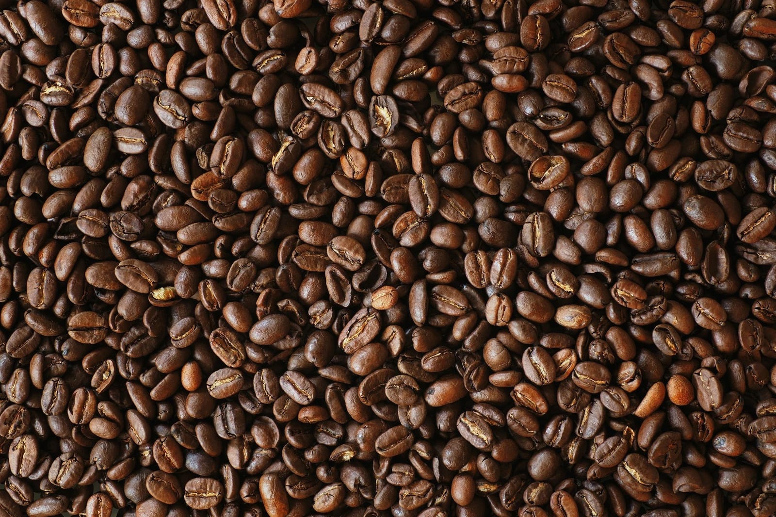 Lightning Coffee photo 9