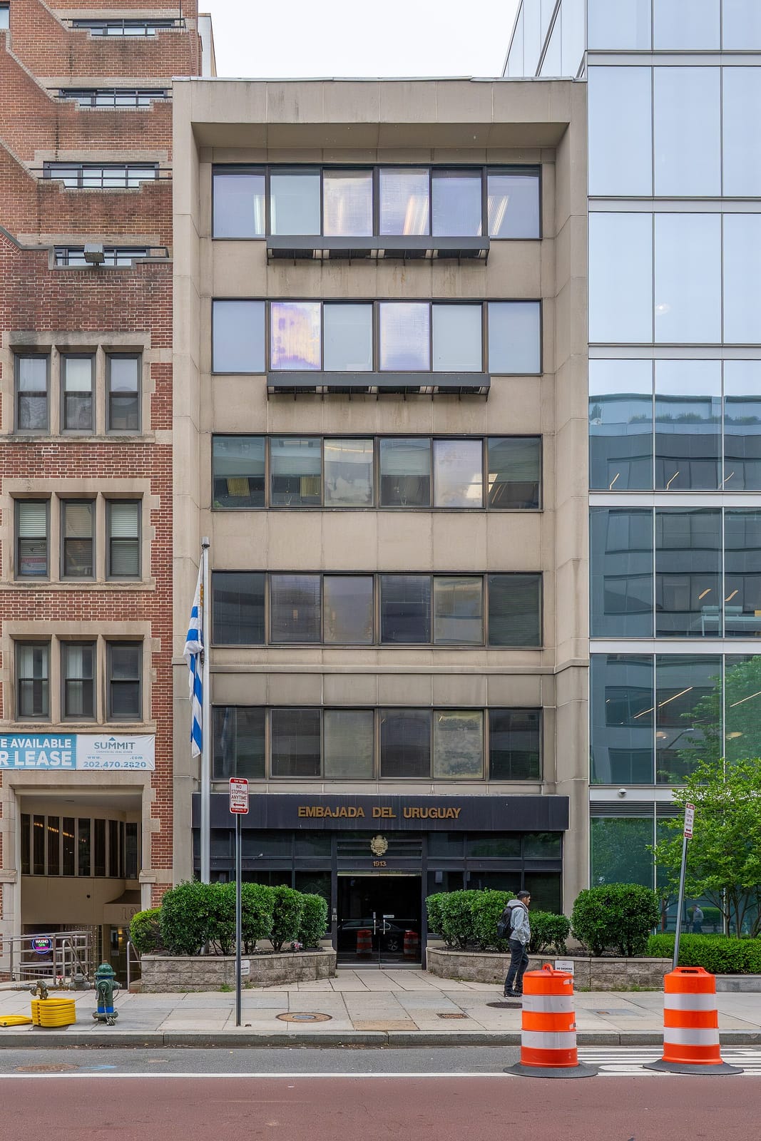 DOWNTOWNER photo 3