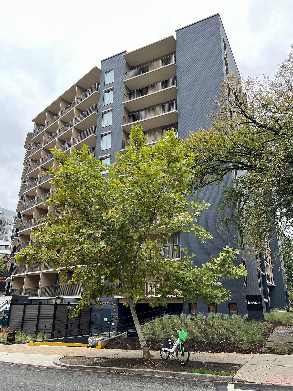 Bluestone Lane West End Café photo 3