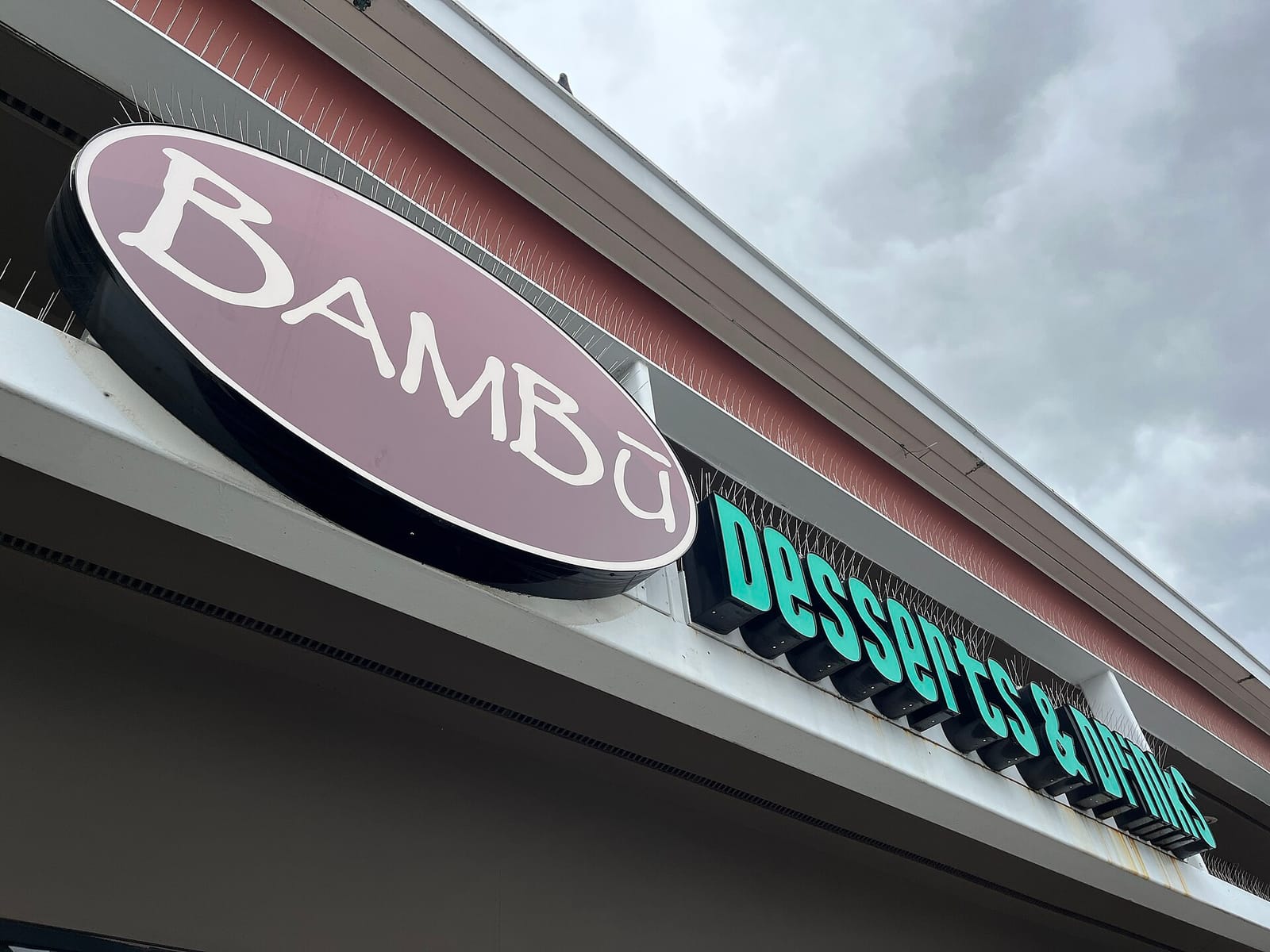 Bambu photo 3