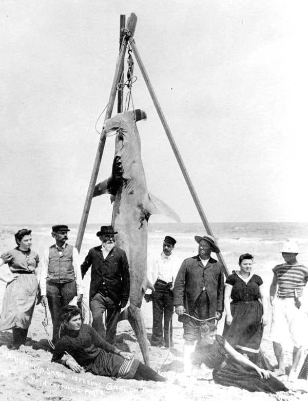 Drift Palm Beach photo 5