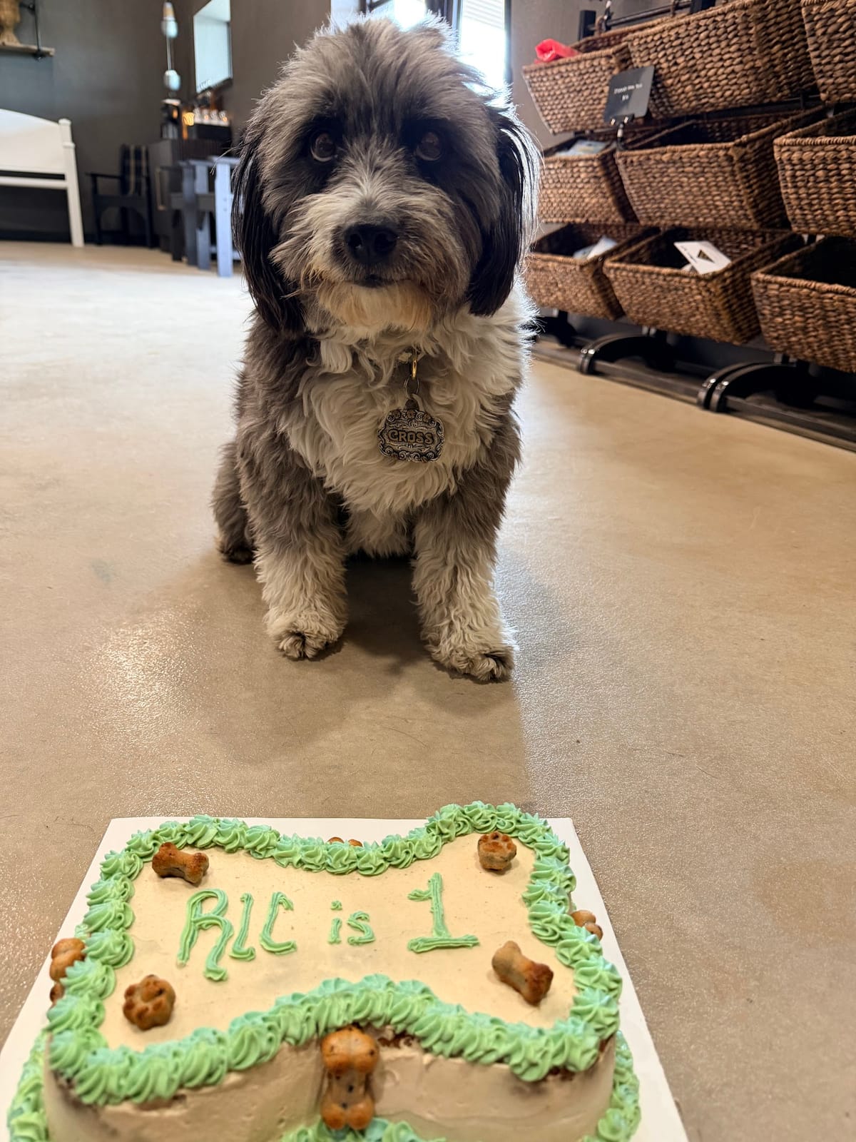 Ducky's Doggie Delights llc