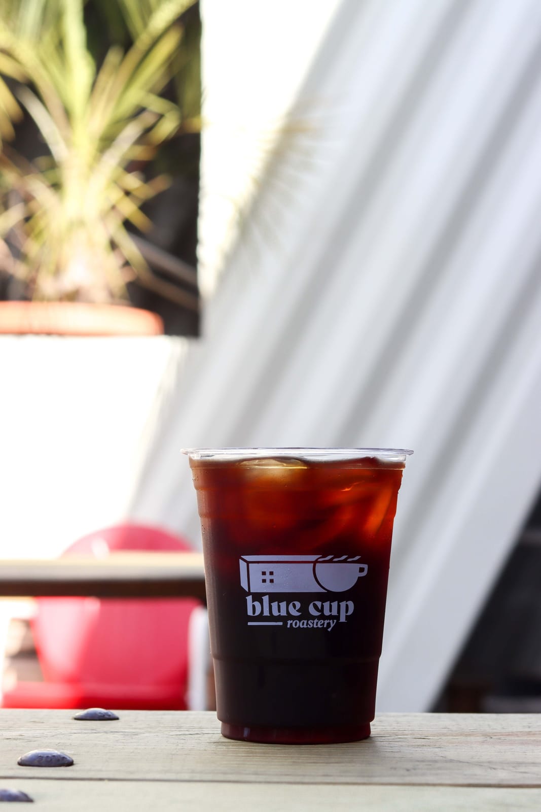 Blue Cup Roastery photo 3