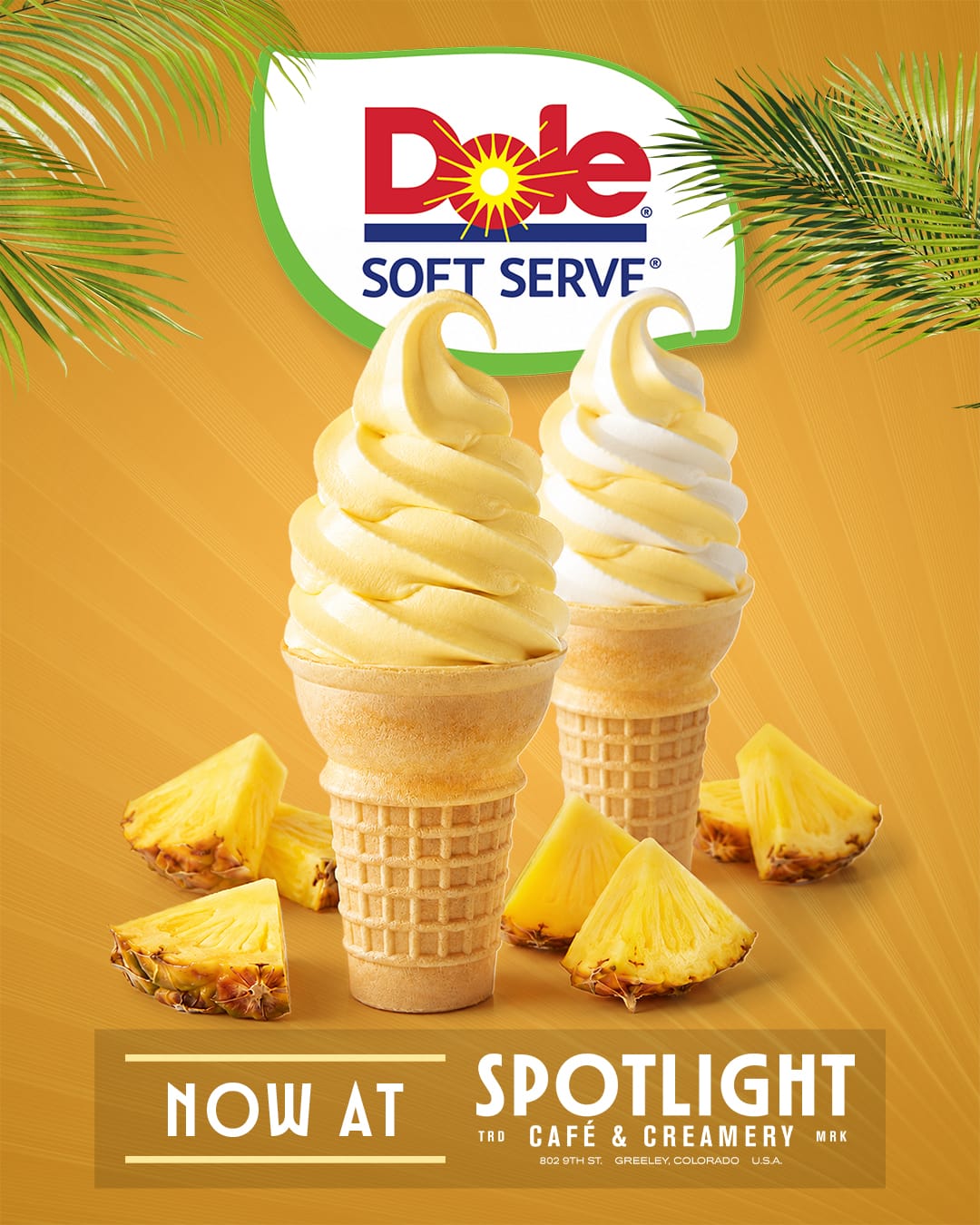 Spotlight Cafe
