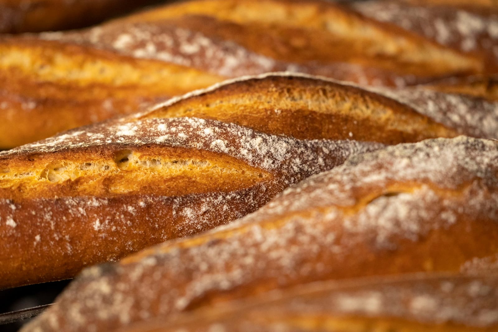 Crust Artisan Bakeshop photo 7