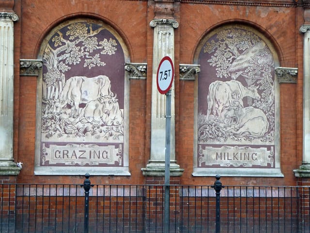Eva Crouch Hill photo 5