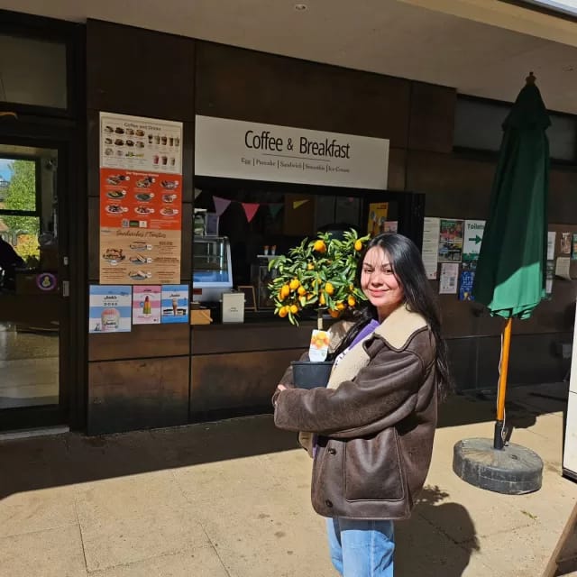 The Tolpuddle Cafe photo 5