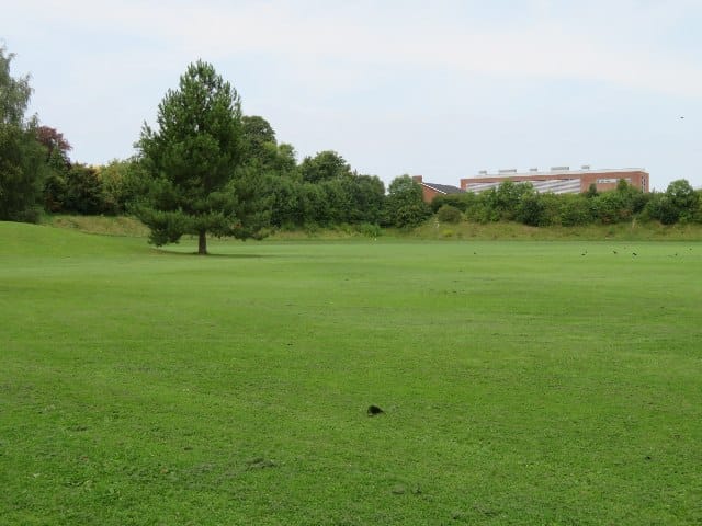 Park Social photo 2