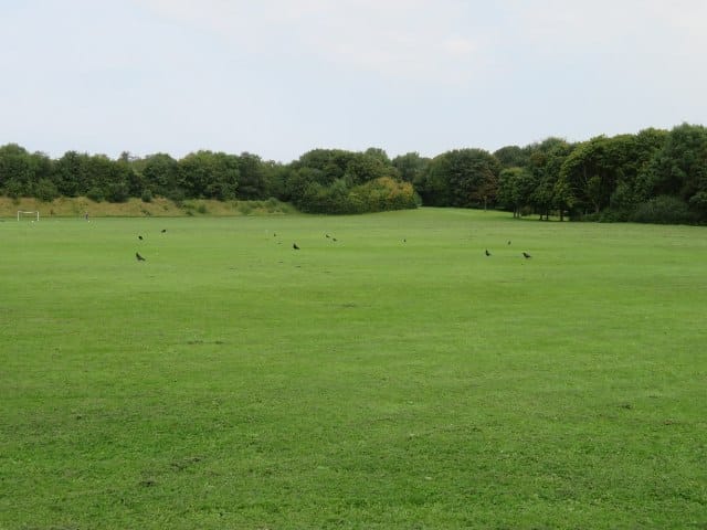 Park Social photo 4