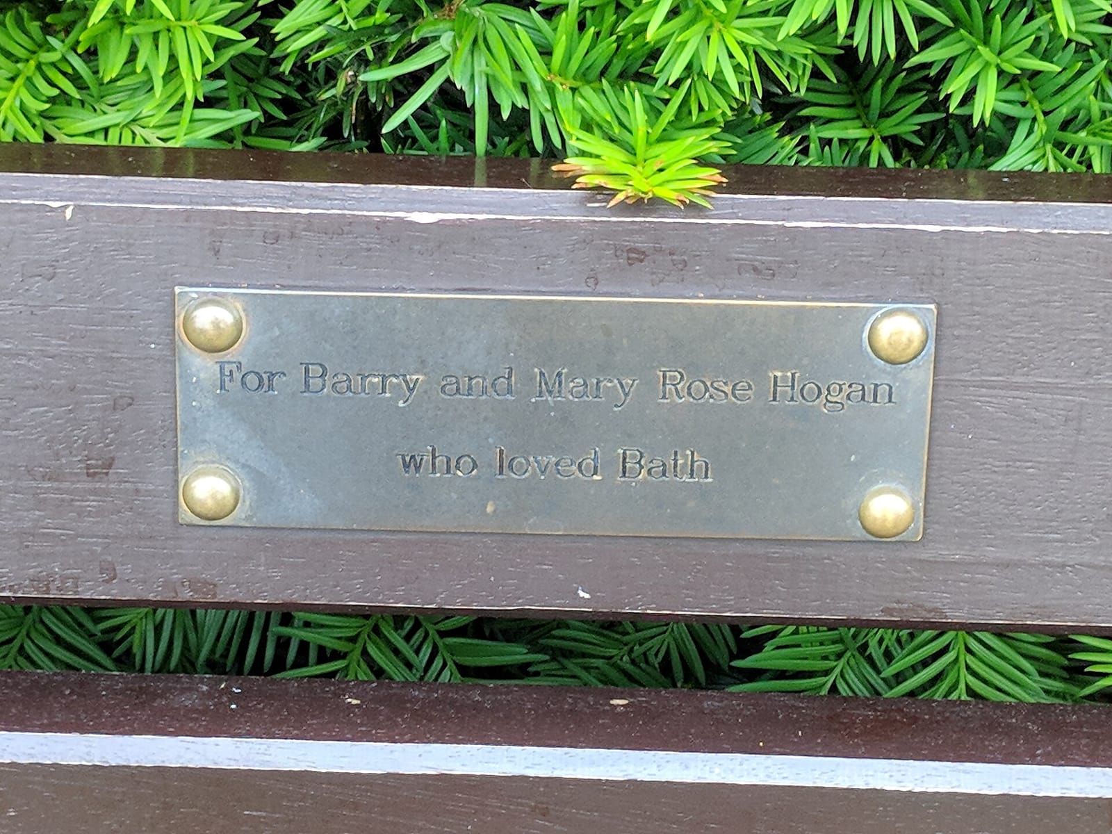 Alice Park photo 4