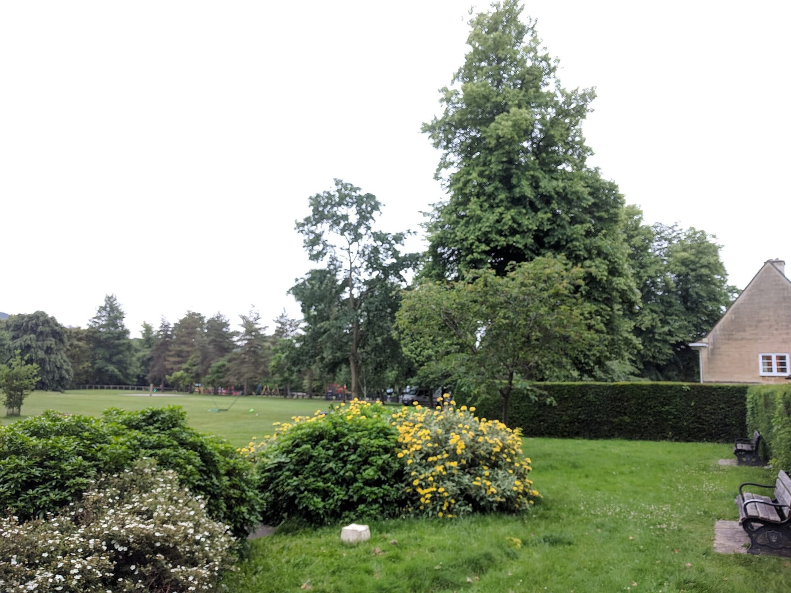 Alice Park photo 6