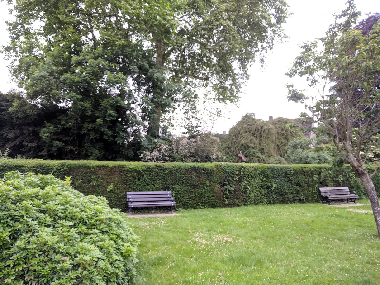 Alice Park photo 5