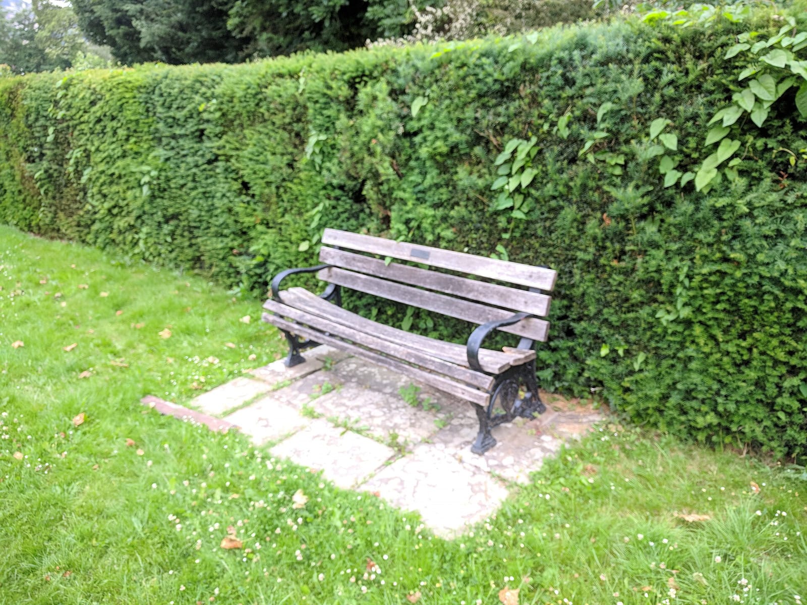 Alice Park photo 7