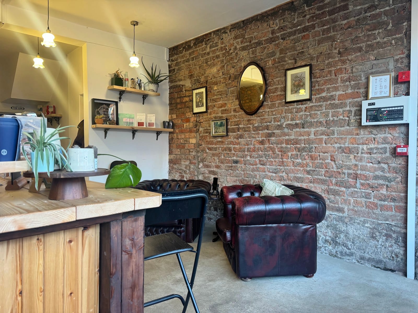 Venus Coffee House