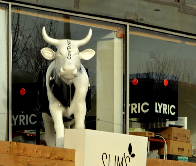 Oliver's Coffee Bar photo 3