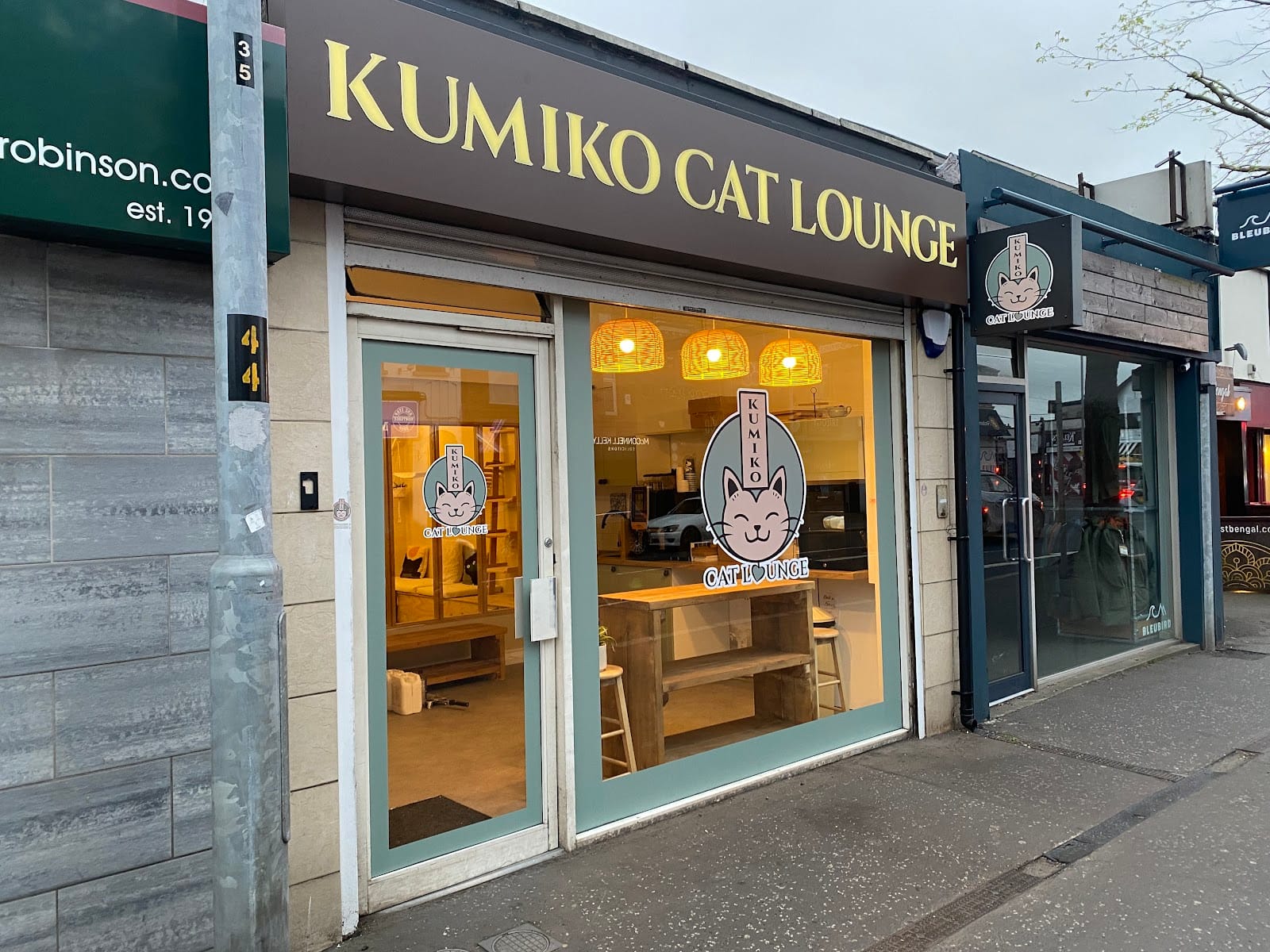 Kumiko Cat Lounge