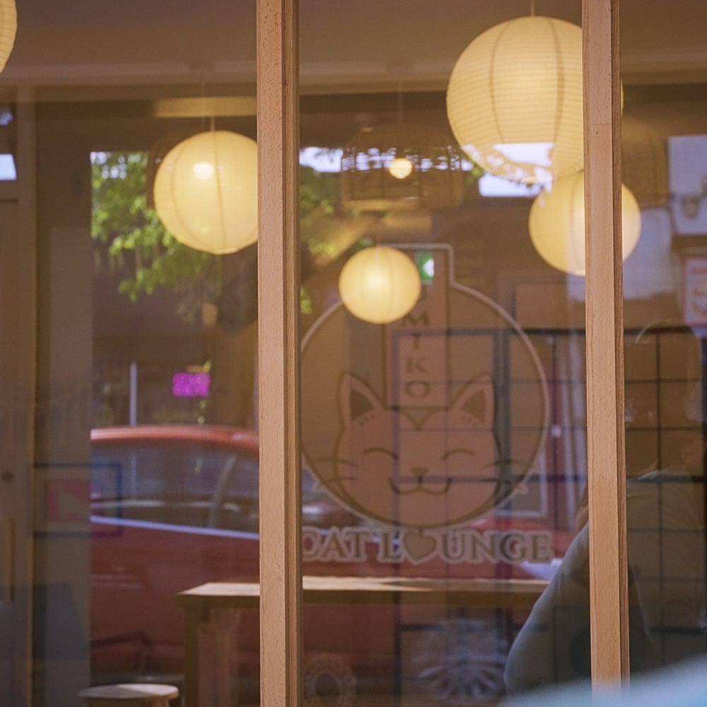 Kumiko Cat Lounge photo 6