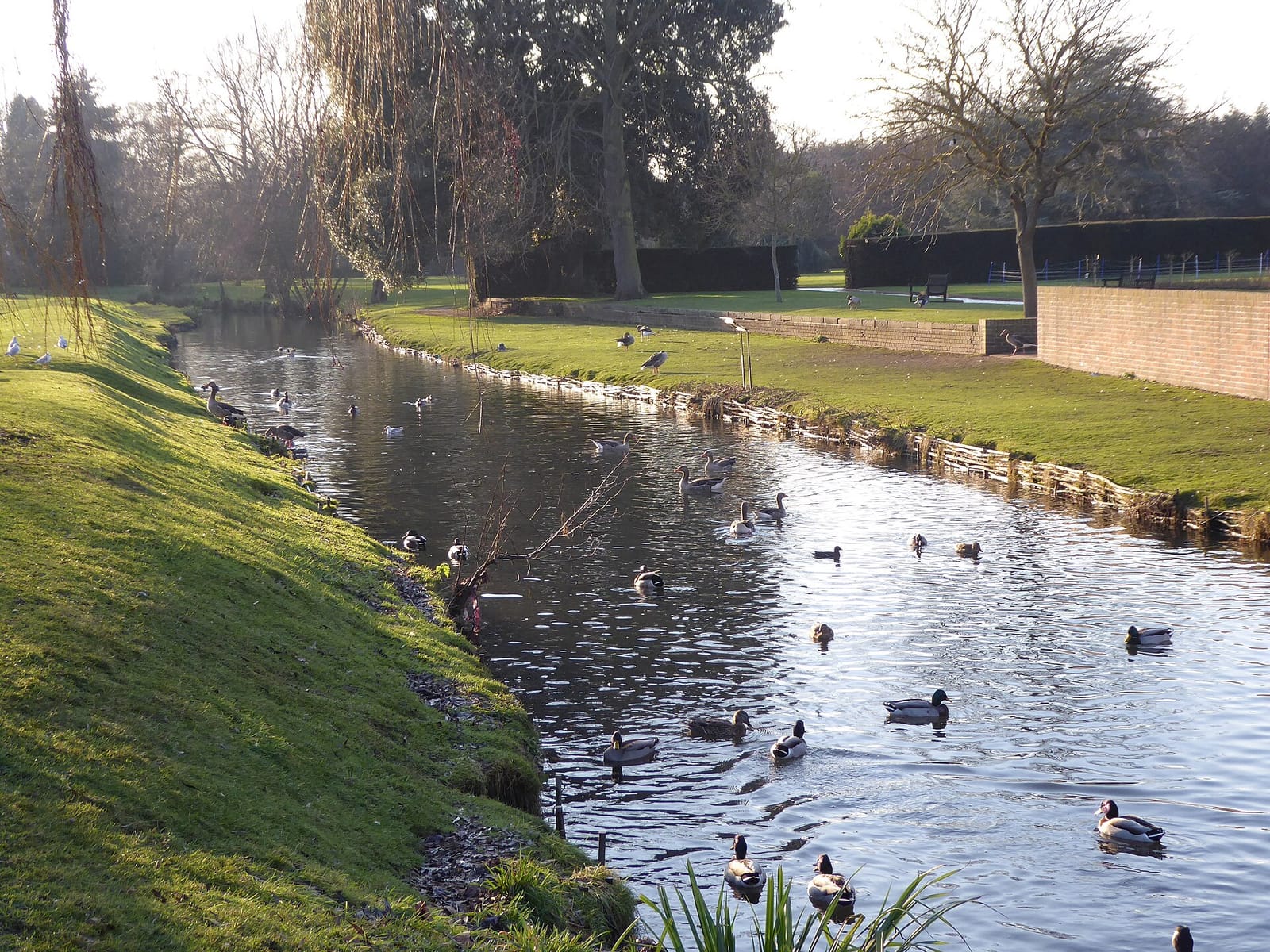 Riverside Café photo 4
