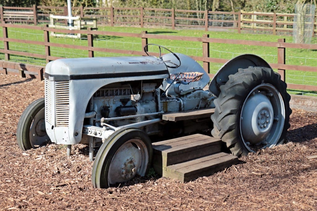 Caffe Cream at Tam O'Shanter Farm photo 5