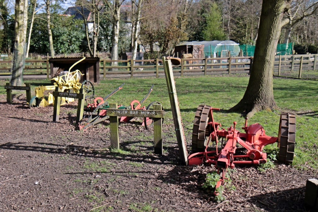 Caffe Cream at Tam O'Shanter Farm photo 4