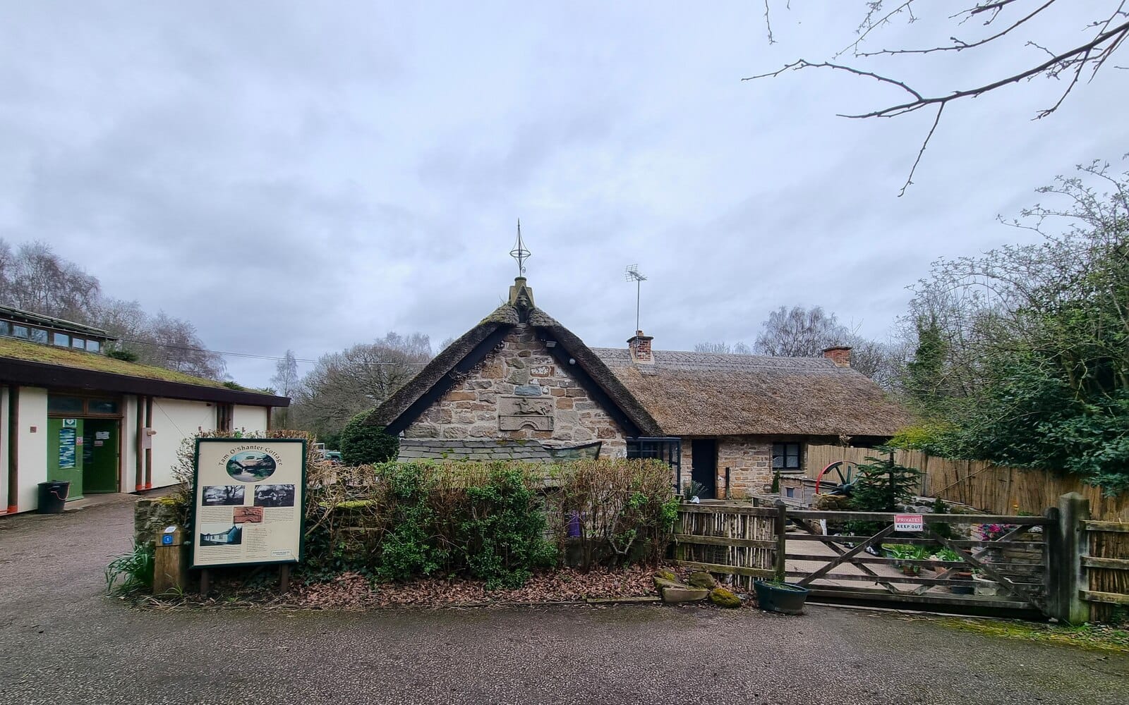 Caffe Cream at Tam O'Shanter Farm photo 2