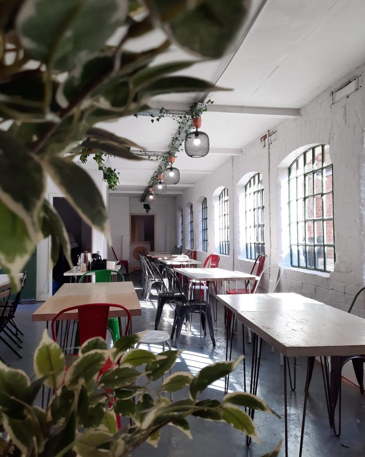 Viela JQ: Café / Dance studio photo 9