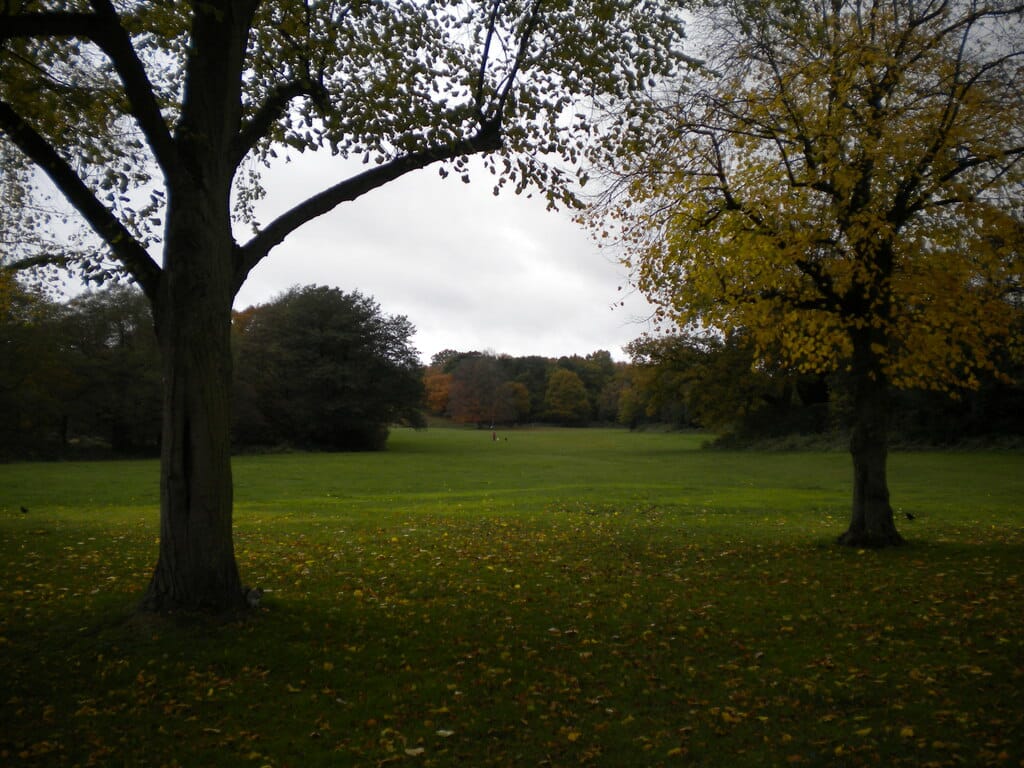 Sutton Park Cafe photo 5