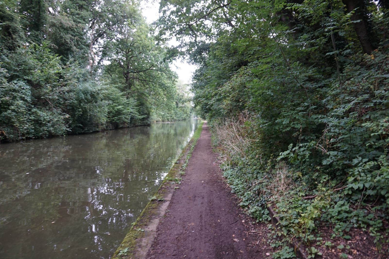 The Castle Lane photo 5