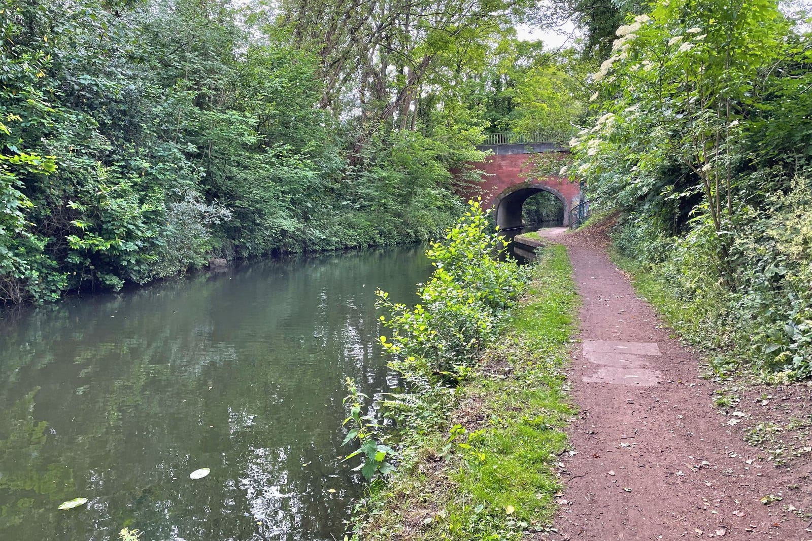 The Castle Lane photo 3