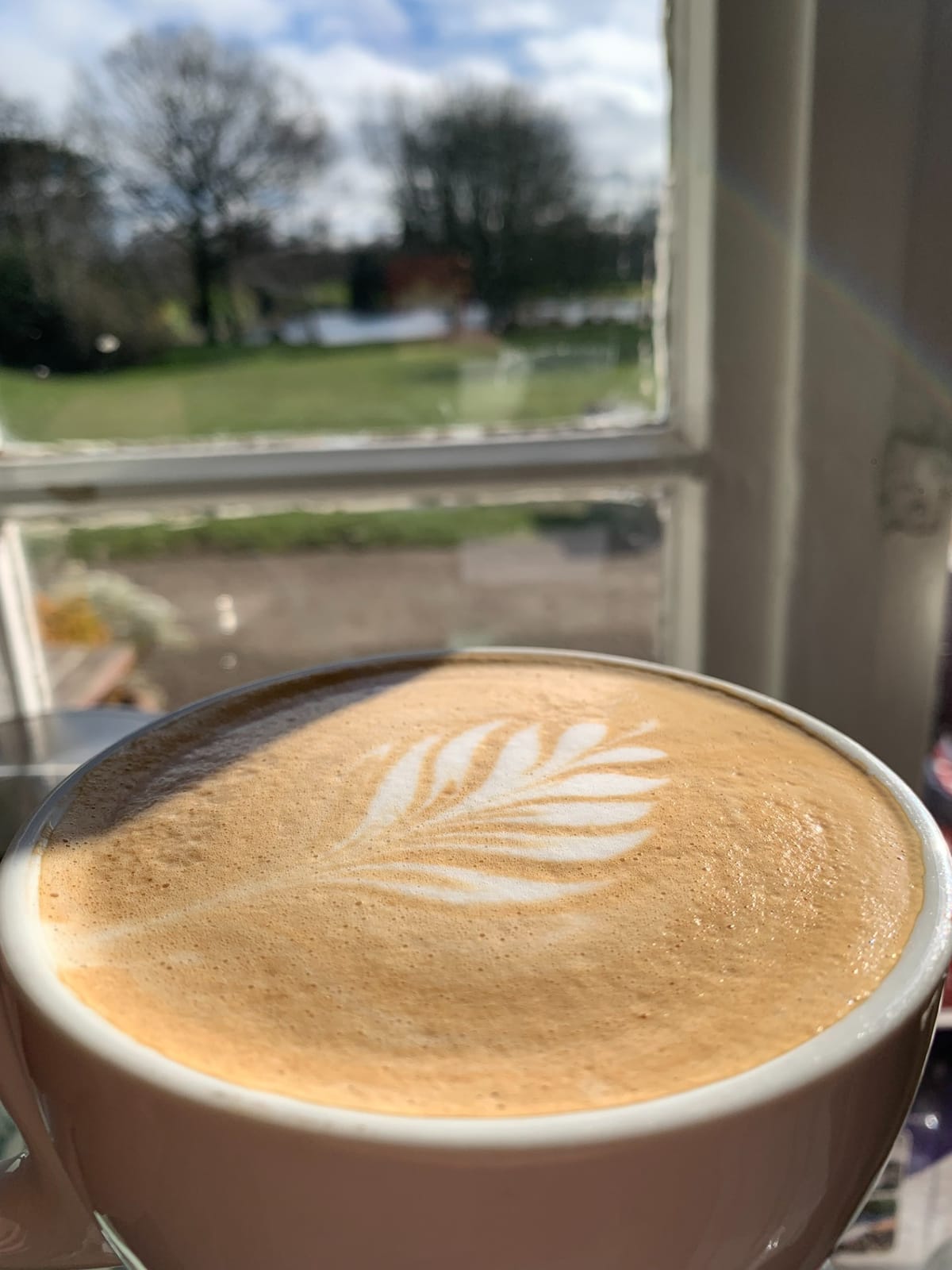 Rowheath Pavilion Cafe photo 5