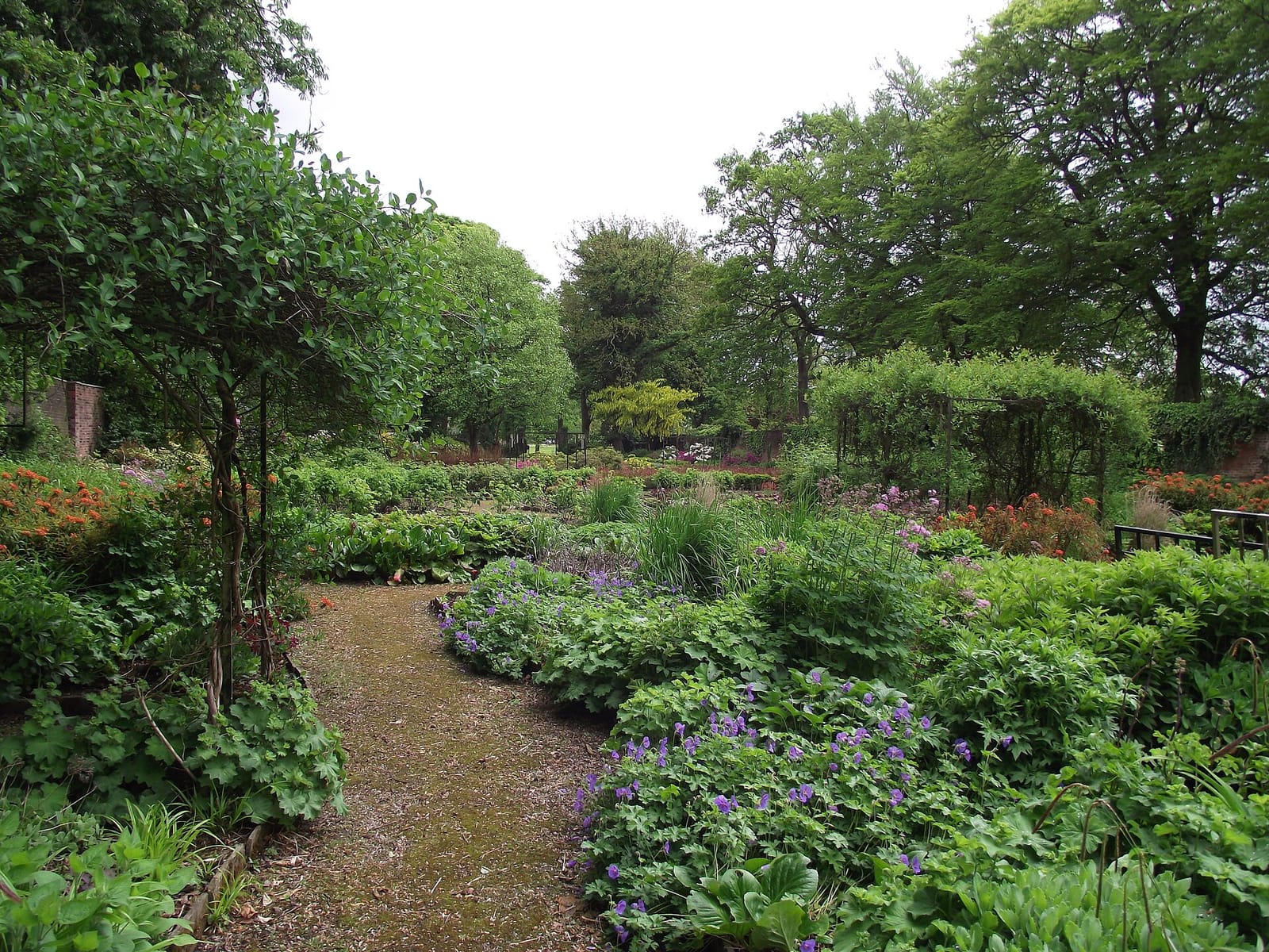 Cafe at Moss Bank Park photo 6