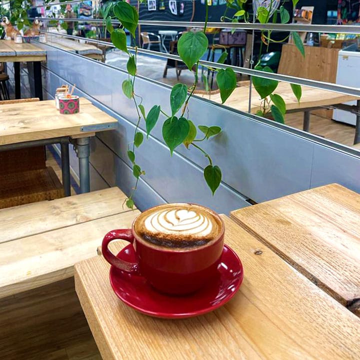 Stay & Play Café