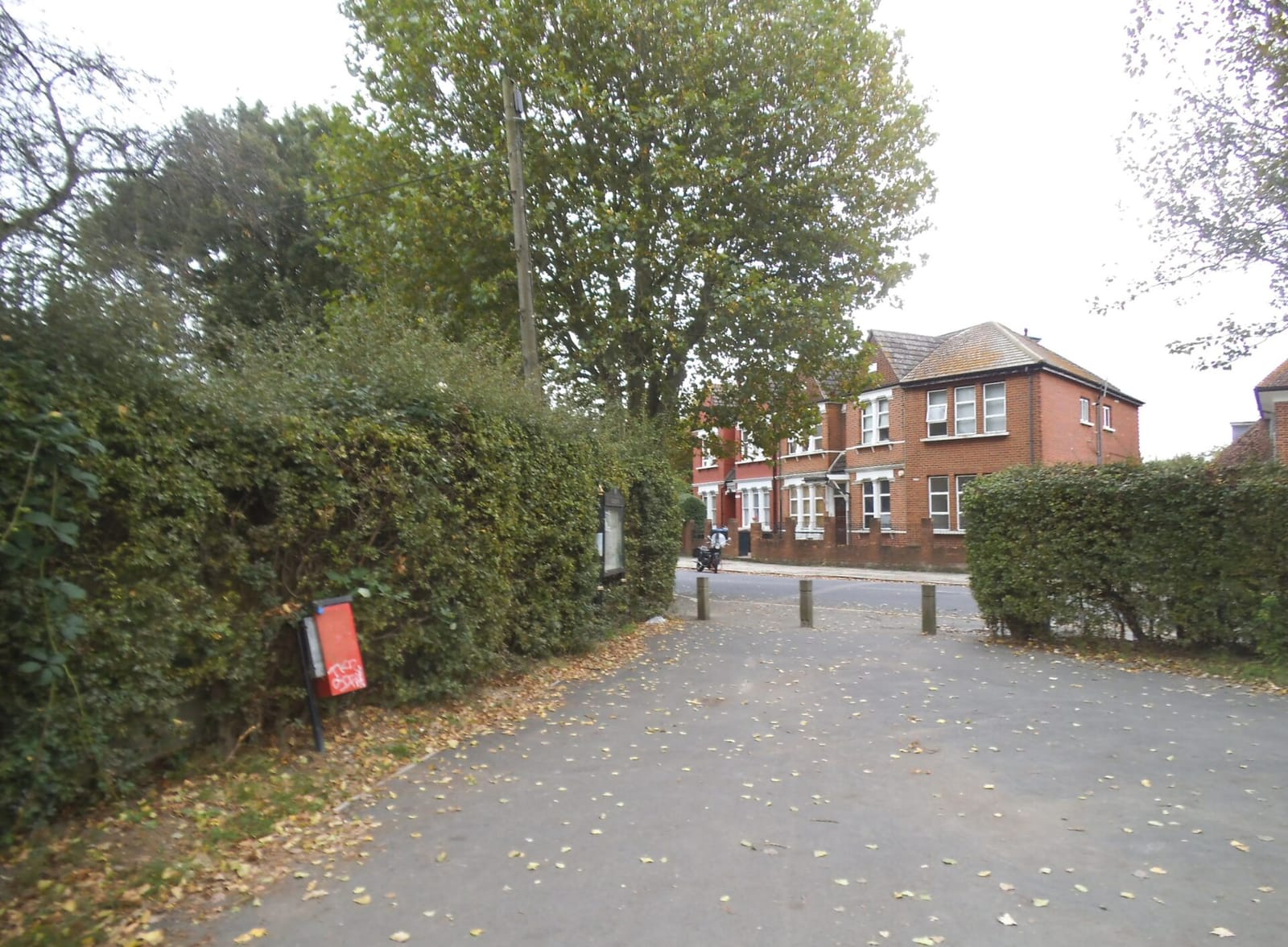 Cricklewood Library Cafe photo 5