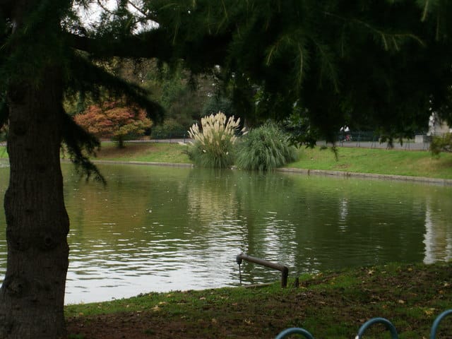 Gunnersbury Park Café photo 3