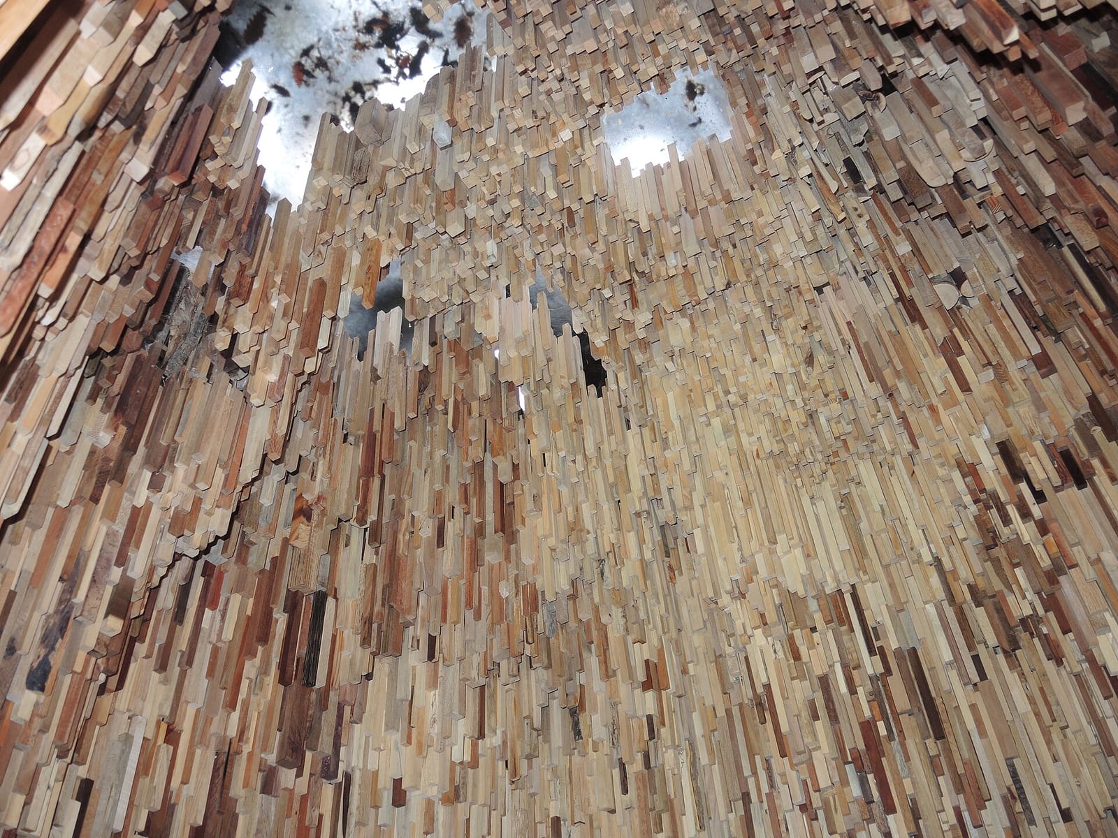 Source Cafe photo 4